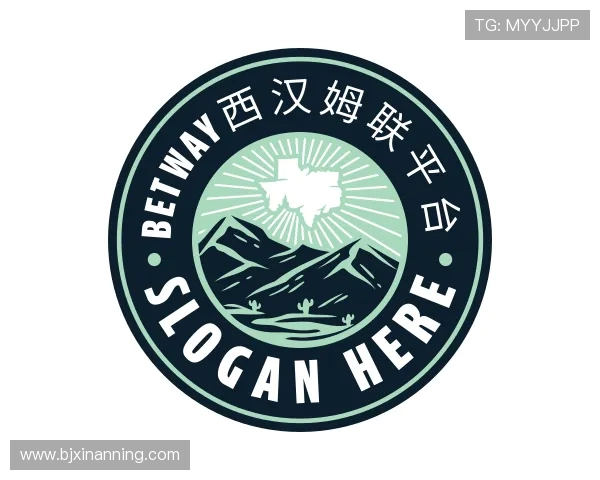 认识pbw必威西汉姆联官网